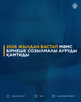 Cover_HRONICHESKIE_KAZ